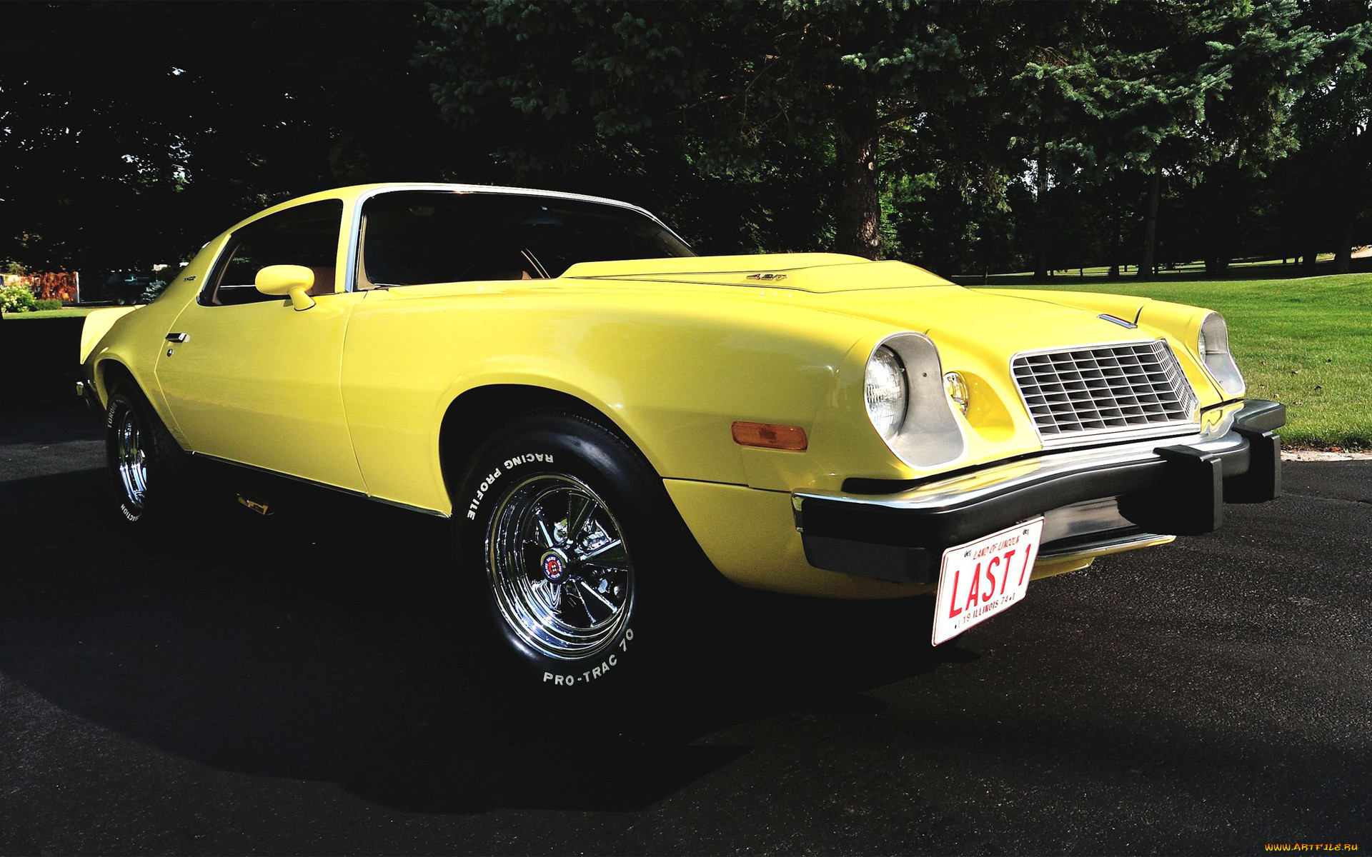 , camaro